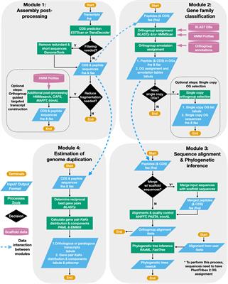PlantTribes2: Tools for comparative gene family analysis in plant genomics
